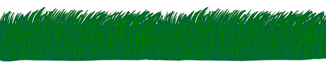 green+grass