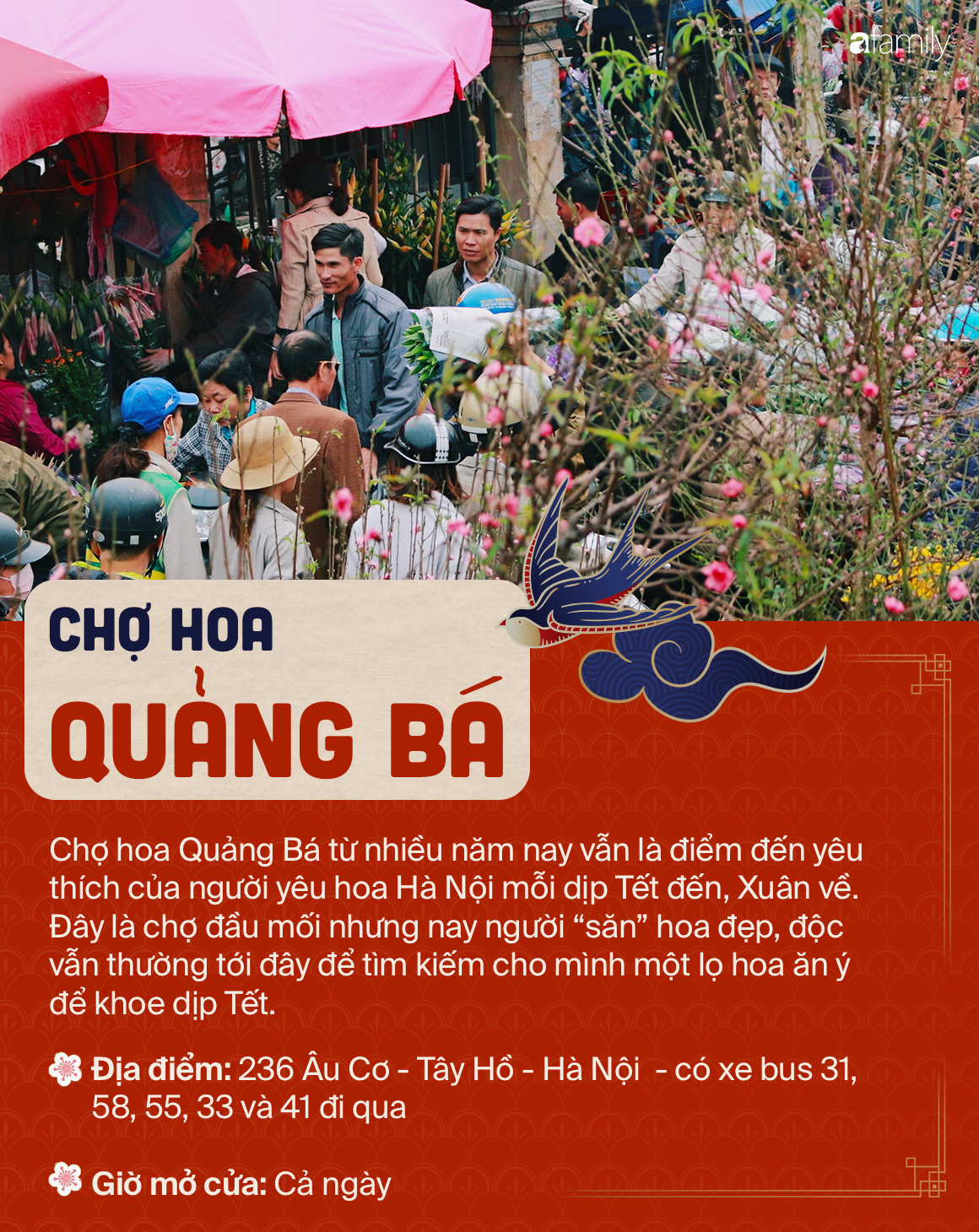 6 chợ hoa nổi tiếng xứ kinh kỳ mà bất cứ người Hà Nội cứ đến Tết là nhất định ghé mua - Ảnh 2.