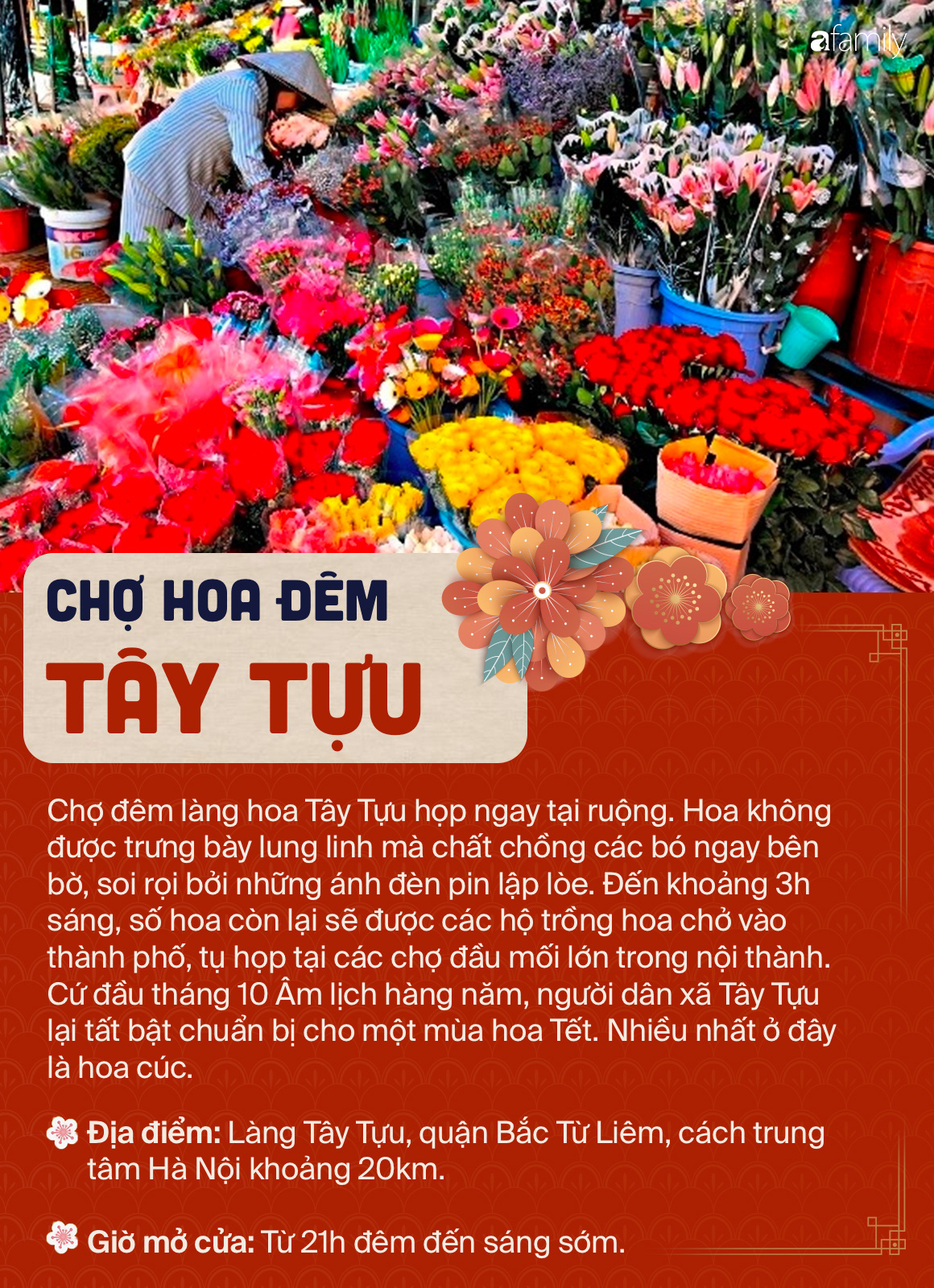 6 chợ hoa nổi tiếng xứ kinh kỳ mà bất cứ người Hà Nội cứ đến Tết là nhất định ghé mua - Ảnh 3.