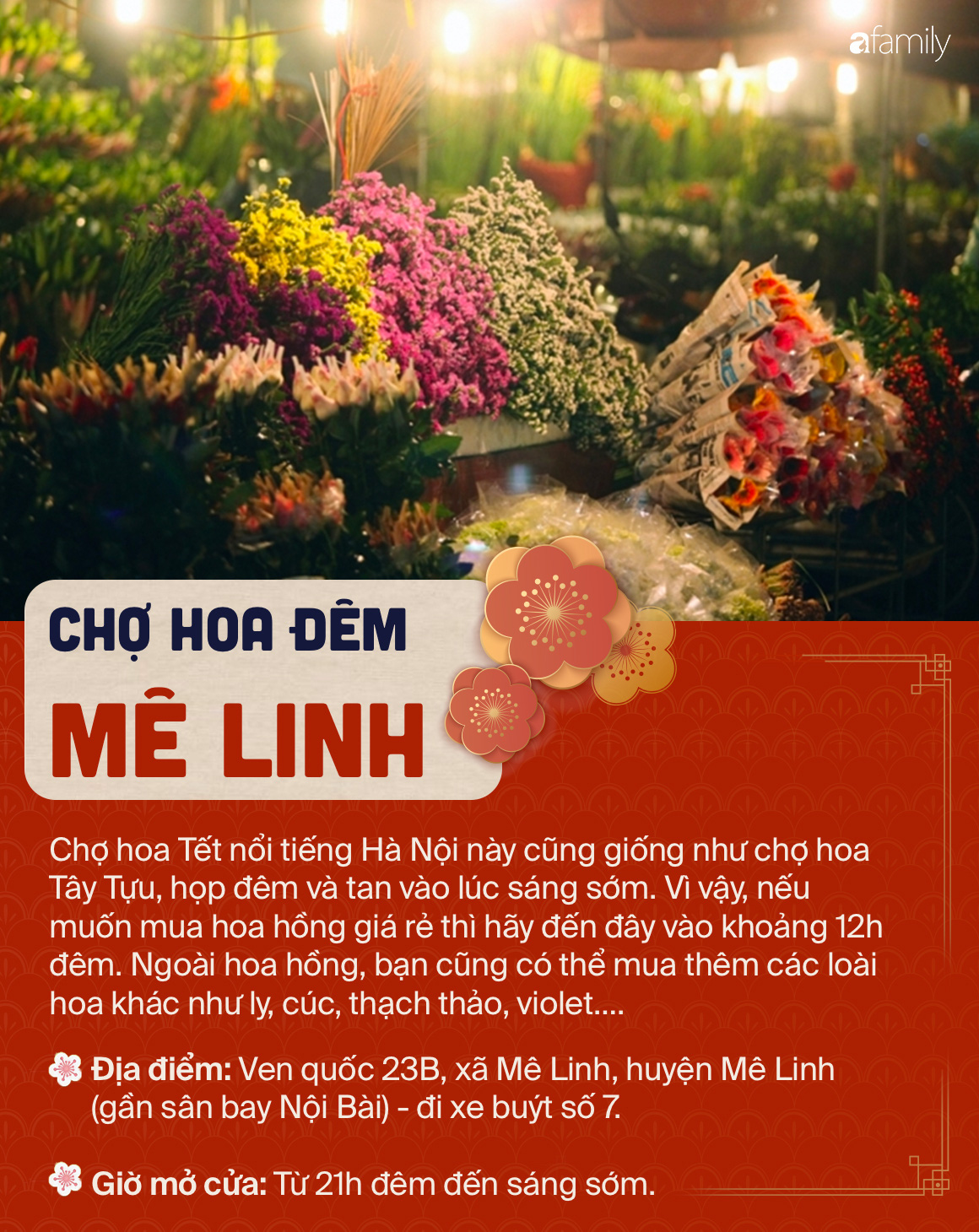 6 chợ hoa nổi tiếng xứ kinh kỳ mà bất cứ người Hà Nội cứ đến Tết là nhất định ghé mua - Ảnh 4.