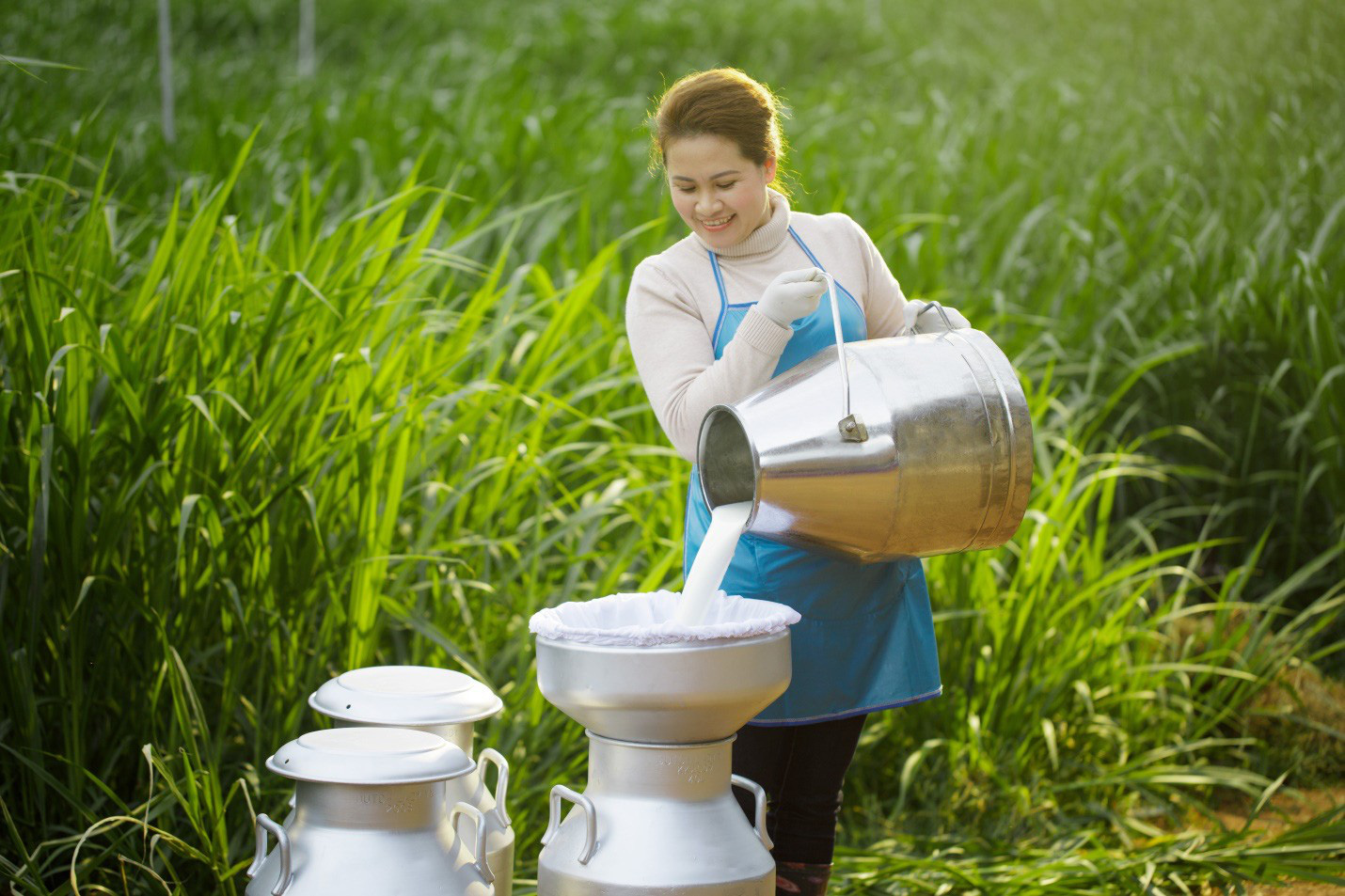 Sữa tươi Cô Gái Hà Lan kiểm soát độ an toàn hàng đầu nhờ cách nuôi bò đặc biệt - Ảnh 2.