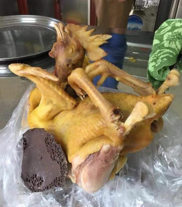 Những siêu phẩm gà cúng trước thềm Tết âm lịch trong mọi tư thế, thái độ khiến dân mạng cười rơi rụng - Ảnh 6. Những siêu phẩm gà cúng trước thềm Tết âm lịch trong mọi tư thế, thái độ khiến dân mạng cười rơi rụng - Ảnh 6.