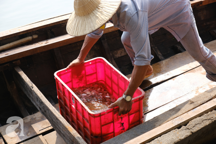 Người Sài Gòn thả hàng trăm ký cá ngày 23 tháng Chạp: Ông Táo &quot;chưa kịp cưỡi về trời&quot; thì cá đã bị chích điện - Ảnh 11.