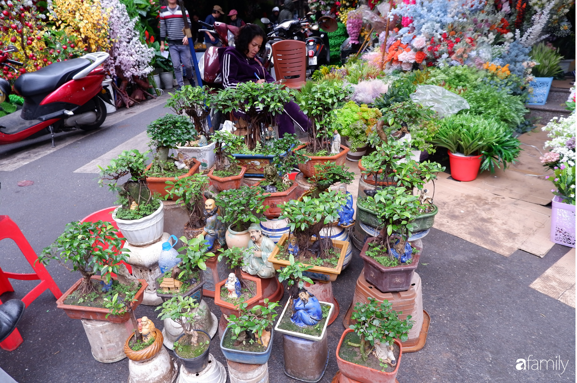 Nhộn nhịp chợ hoa phố cổ Hàng Lược, mỗi năm chỉ họp mua bán một dịp duy nhất ngày cuối năm - Ảnh 12.