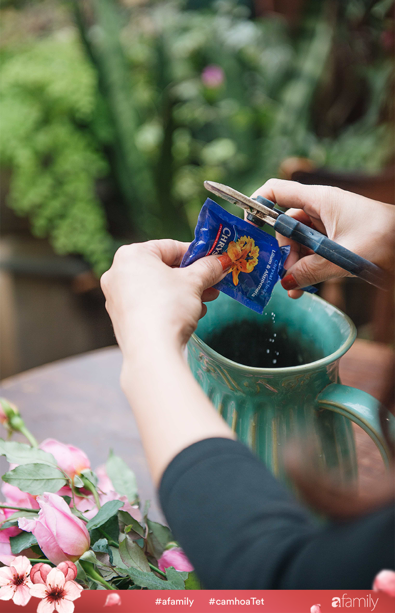 Tết này phải có bình hoa hồng thơm trong nhà, cắm như này đảm bảo ai cũng khen - Ảnh 4. Tết này phải có bình hoa hồng thơm trong nhà, cắm như này đảm bảo ai cũng khen - Ảnh 4.