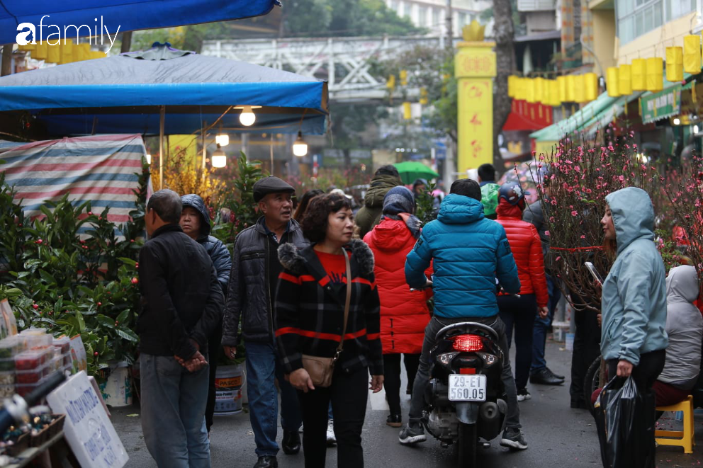 Nét xuân nơi phố cổ Hà Nội: Người dân đội mưa rét dạo chơi mua sắm tại chợ hoa Hàng Lược - Ảnh 1.