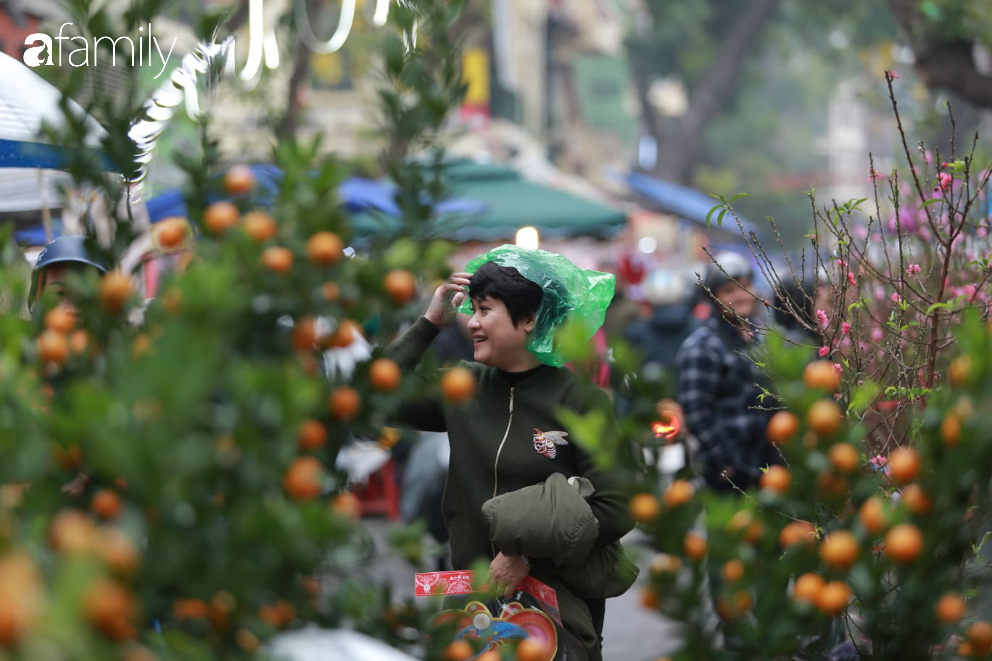Nét xuân nơi phố cổ Hà Nội: Người dân đội mưa rét dạo chơi mua sắm tại chợ hoa Hàng Lược - Ảnh 2.