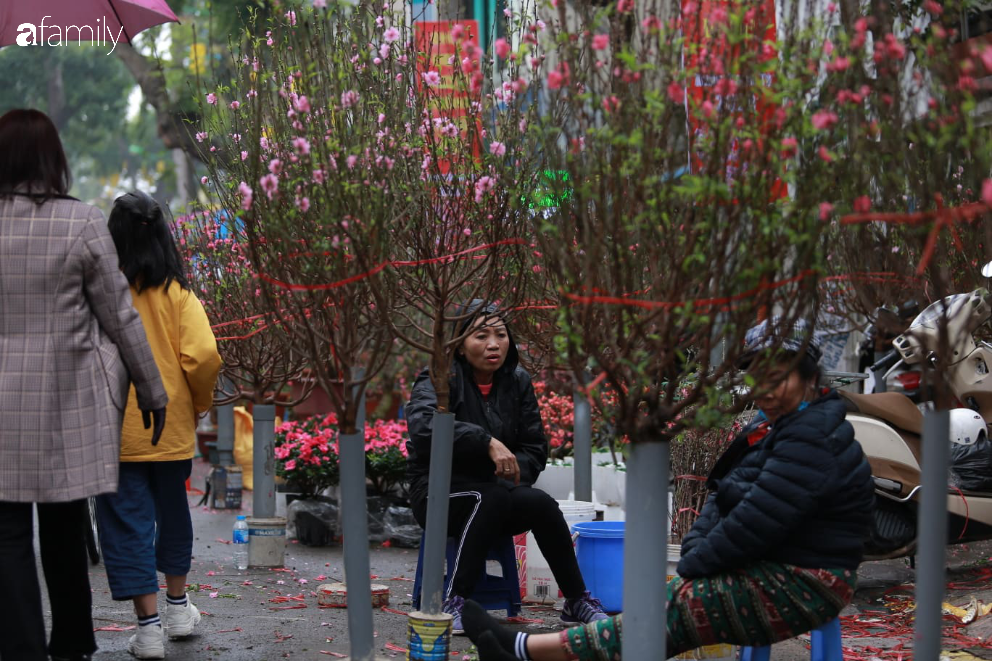 Nét xuân nơi phố cổ Hà Nội: Người dân đội mưa rét dạo chơi mua sắm tại chợ hoa Hàng Lược - Ảnh 5.