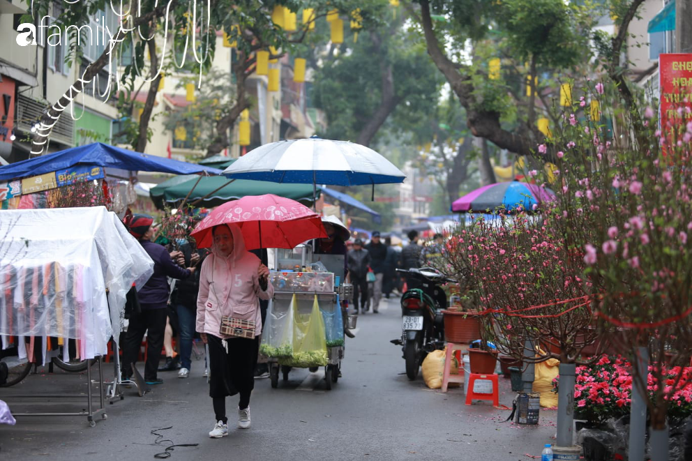 Nét xuân nơi phố cổ Hà Nội: Người dân đội mưa rét dạo chơi mua sắm tại chợ hoa Hàng Lược - Ảnh 6.