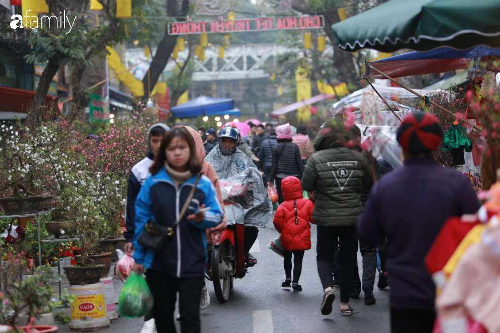 Nét xuân nơi phố cổ Hà Nội: Người dân đội mưa rét dạo chơi mua sắm tại chợ hoa Hàng Lược - Ảnh 9.
