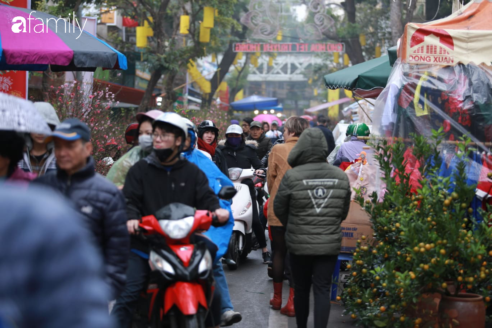 Nét xuân nơi phố cổ Hà Nội: Người dân đội mưa rét dạo chơi mua sắm tại chợ hoa Hàng Lược - Ảnh 10.