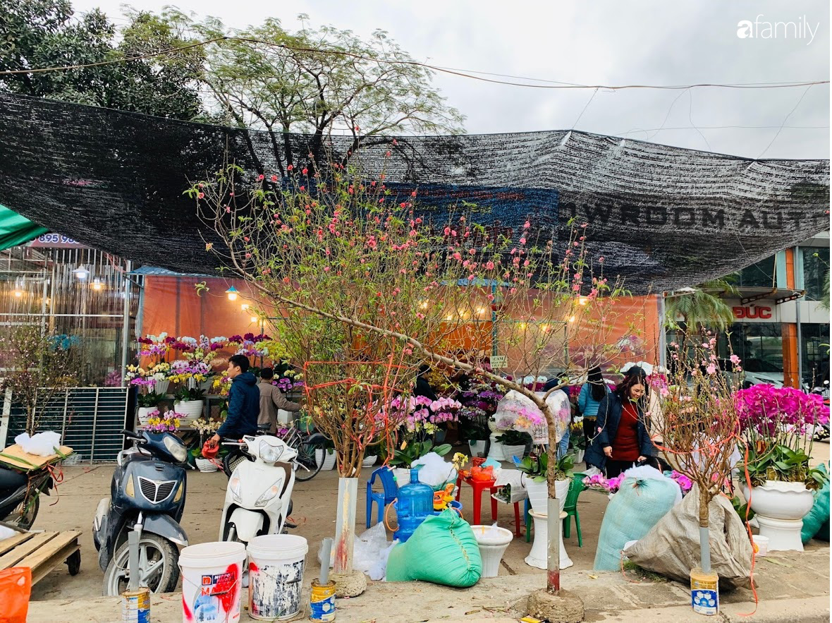 Hà Nội ngày 29 Tết: Giá đào quất tại 2 chợ hoa lớn tăng, người tiêu dùng mua vội về ăn Tết - Ảnh 3.
