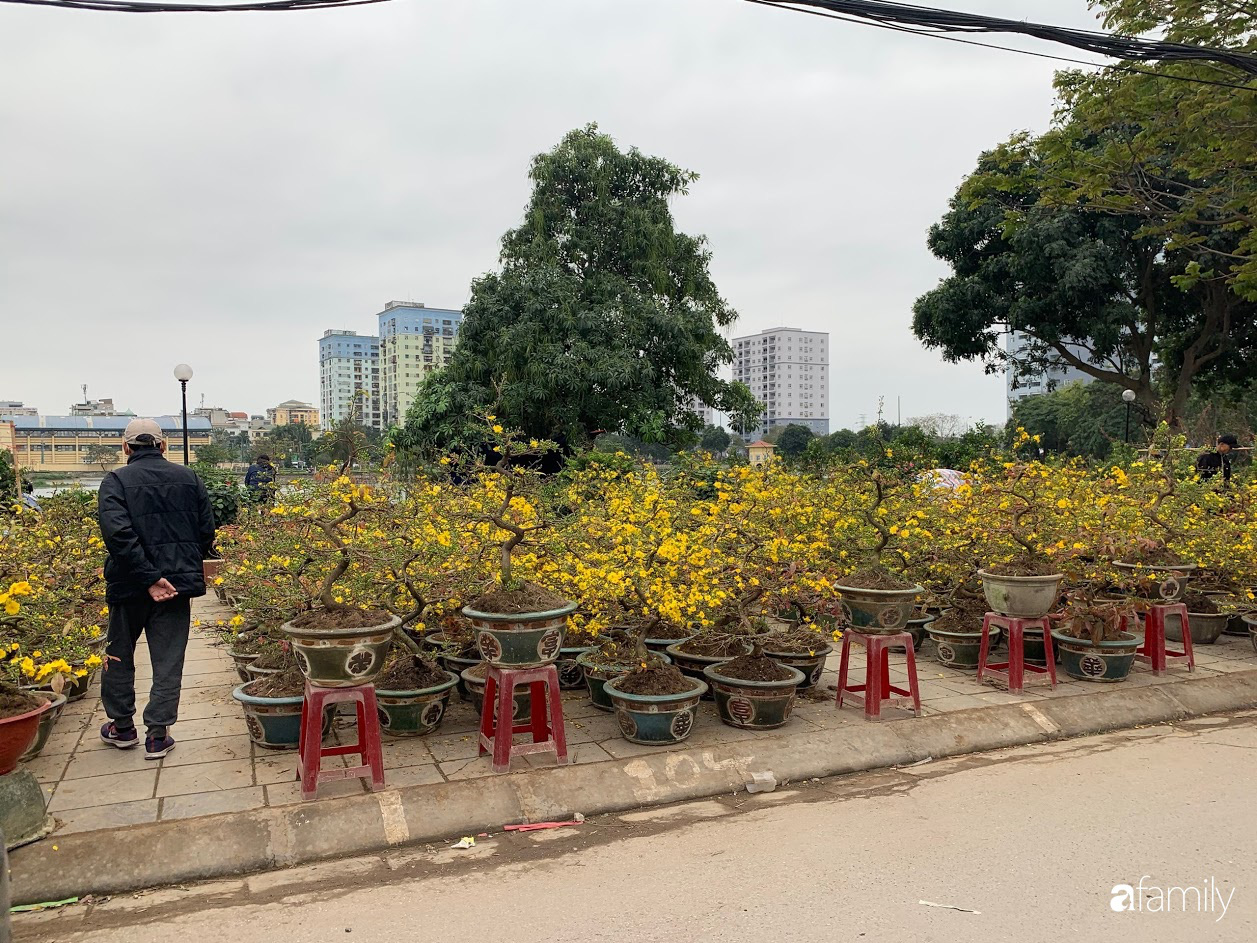 Hà Nội ngày 29 Tết: Giá đào quất tại 2 chợ hoa lớn đã hạ nhiệt, người tiêu dùng mua vội về ăn Tết - Ảnh 11.