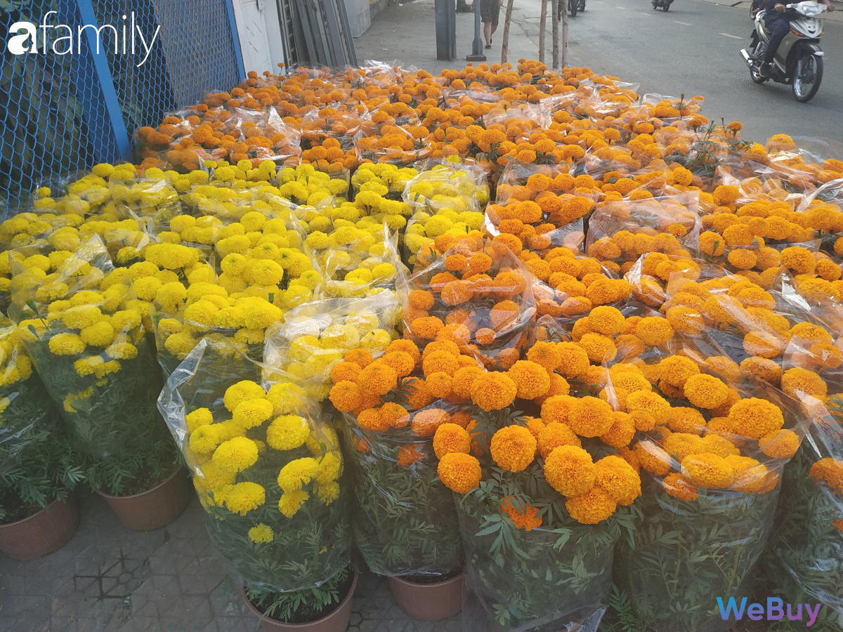Đi sắm hoa Tết ở “chợ miền tây” Sài Gòn: bạt ngàn cúc, mai, chị em muốn giá nào cũng có - Ảnh 14.