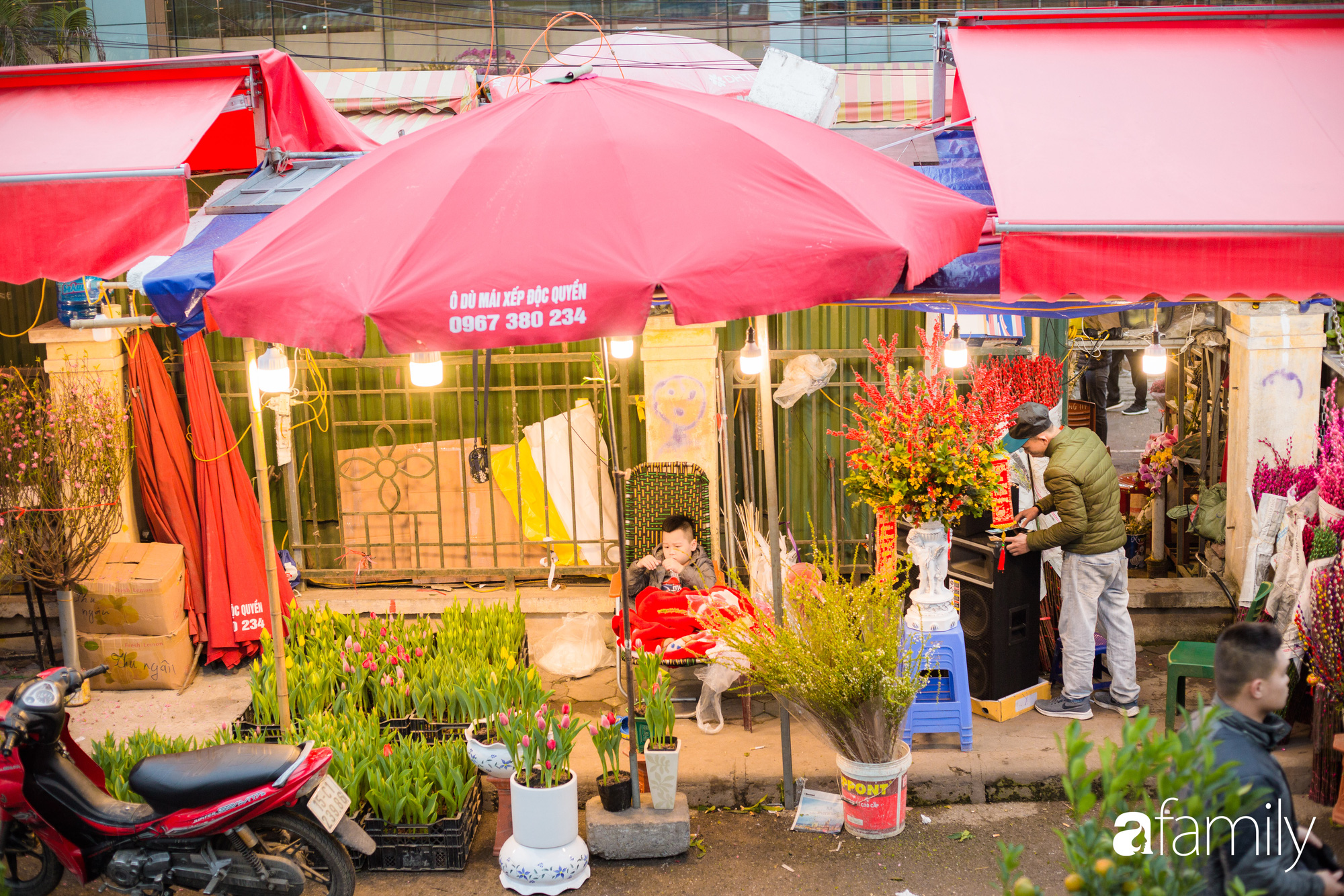 Những khoảnh khắc bình dị ngày cuối năm ở chợ hoa Quảng An, dù lạnh thấu xương nhưng người Hà Nội vẫn nô nức sắm hoa chơi Tết - Ảnh 2.