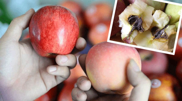 Mẹo hay ho giúp bảo quản trái cây mâm ngũ quả tươi lâu gấp 2, không cần dùng tủ lạnh - Ảnh 1.