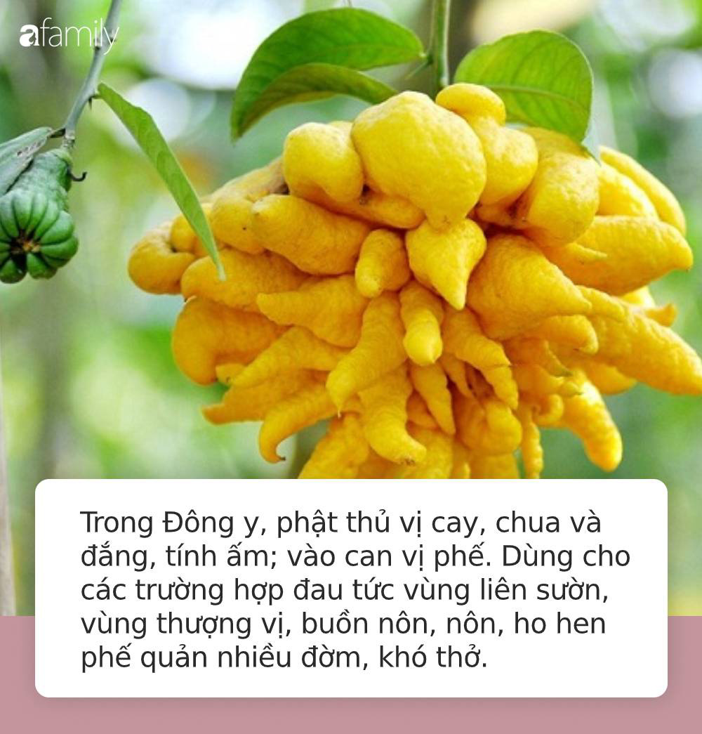 Thứ quả linh thiêng mệnh danh là &quot;bàn tay của phật&quot; trên bàn thờ ngày Tết nếu sử dụng theo cách này có thể chữa được rất nhiều bệnh tật - Ảnh 3.