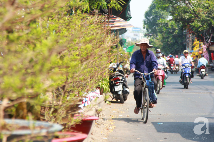 Độc đáo chợ hoa bến Bình Đông ngày cuối năm: Mang hoa Tết vượt sông hàng trăm kilomet đến Sài Gòn mưu sinh - Ảnh 6.