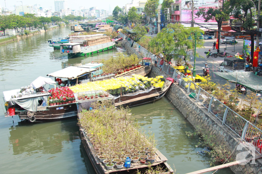 Độc đáo chợ hoa bến Bình Đông ngày cuối năm: Mang hoa Tết vượt sông hàng trăm kilomet đến Sài Gòn mưu sinh - Ảnh 1.