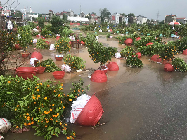 Thời tiết cả nước trong những ngày nghỉ Tết Nguyên đán còn lại: Không khí lạnh mạnh tăng cường, miền Bắc tiếp tục trời mưa, rét đậm, vùng núi xuất hiện băng giá  - Ảnh 1.