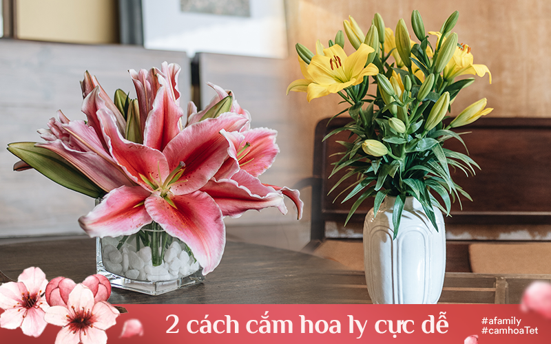 Hoa cẩm chướng chính là loại hoa không thể thiếu trong ngày Tết rực rỡ