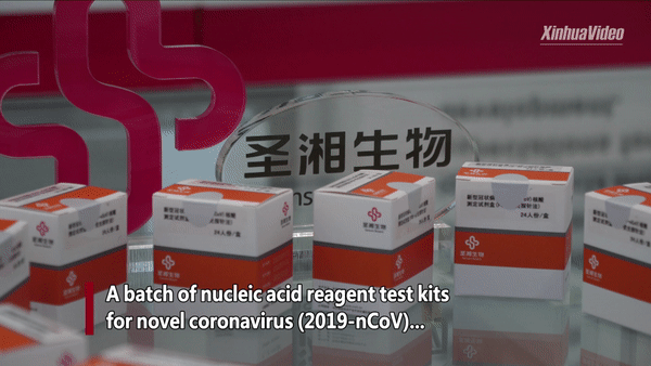 Coronavirus: Phát minh thành công dụng cụ test virus corona cho kết quả ngay trong vòng 15 phút! - Ảnh 1.