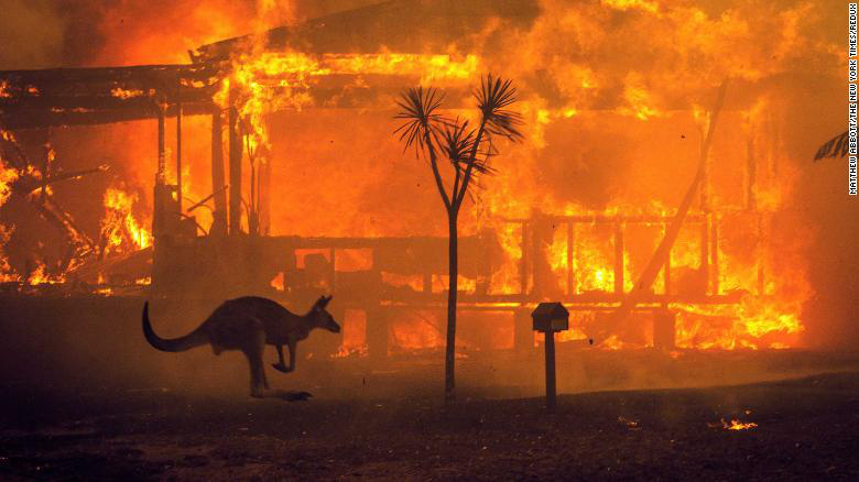 Gần NỬA TỈ sinh vật bị thiêu rụi, 1/3 số gấu koala chết cháy: Úc đang trải qua trận cháy rừng đại thảm họa thực sự mà chưa nhìn thấy lối thoát - Ảnh 1.