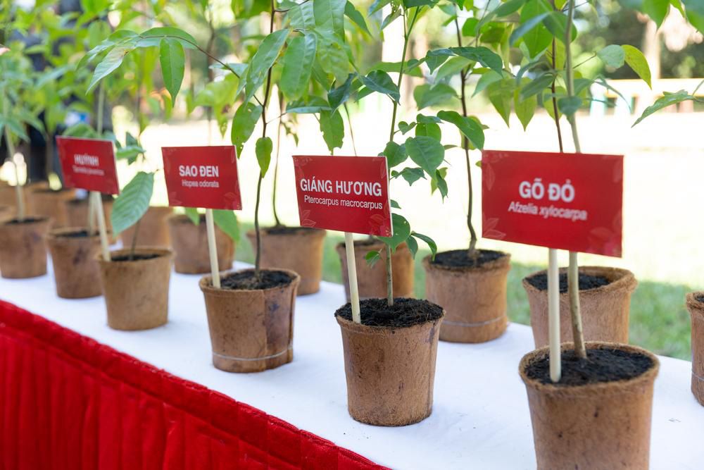 Jun Phạm, Chan La Cà, Quang Bảo và Hana Giang Anh cùng chung tay cho "QUỸ OMO VƯỜN ƯƠM LỘC QUÝ" đầu tiên tại Việt Nam - Ảnh 8. Jun Phạm, Chan La Cà, Quang Bảo và Hana Giang Anh cùng chung tay cho "QUỸ OMO VƯỜN ƯƠM LỘC QUÝ" đầu tiên tại Việt Nam - Ảnh 8.
