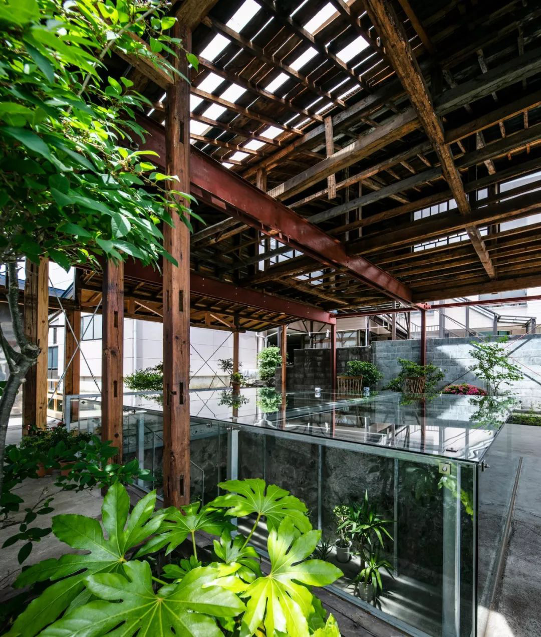 Cặp vợ chồng quyết định cải tạo biệt thự cổ rộng 550m2 thay bằng nhà kính gần gũi với thiên nhiên - Ảnh 18. Cặp vợ chồng quyết định cải tạo biệt thự cổ rộng 550m2 thay bằng nhà kính gần gũi với thiên nhiên - Ảnh 18.