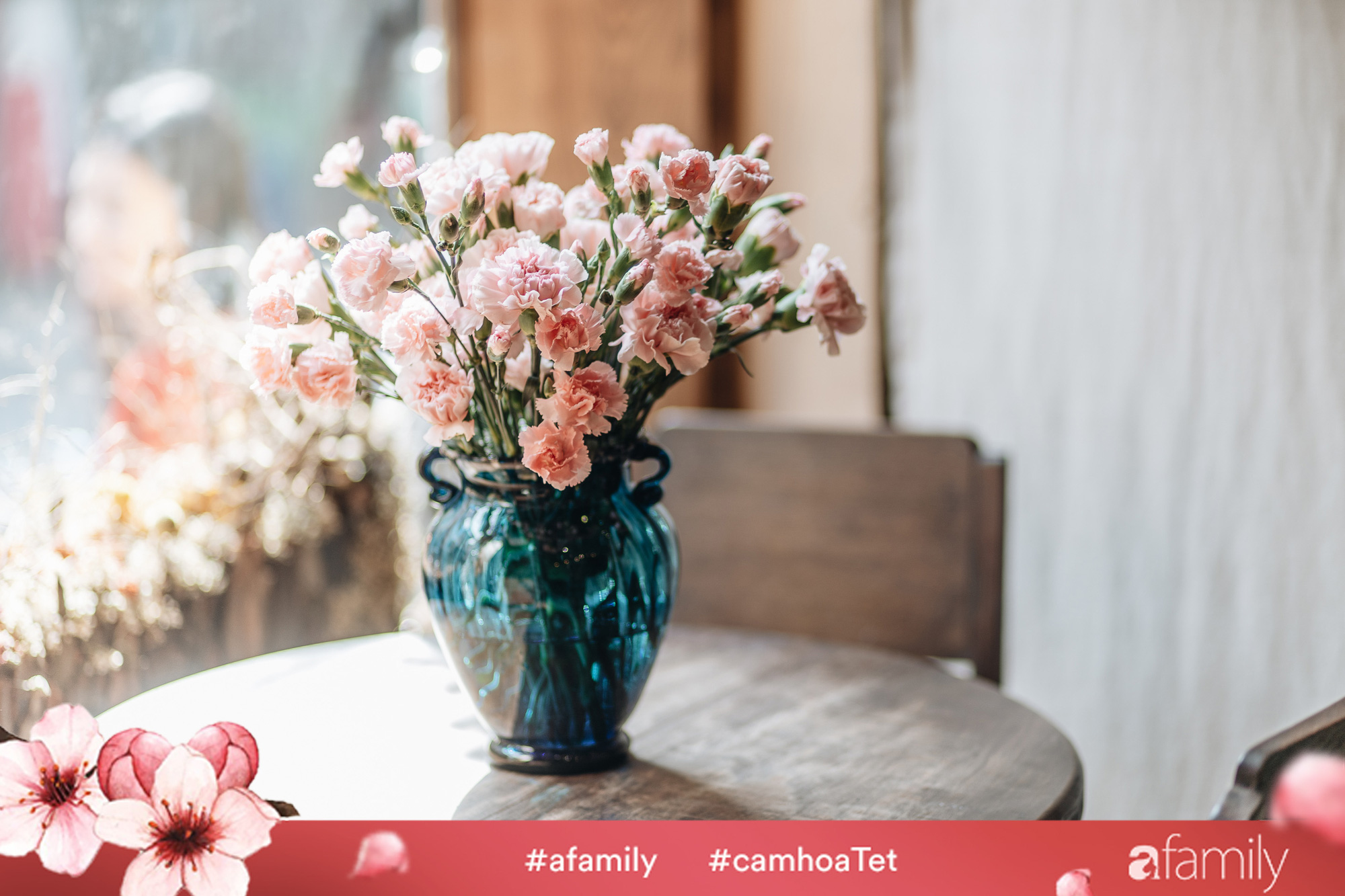 Hoa cẩm chướng chính là loại hoa không thể thiếu trong ngày Tết rực rỡ