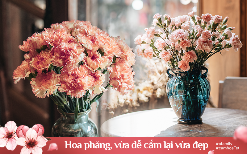 Hoa Cẩm chướng: Được biết đến như một trong những loài hoa mang ý nghĩa may mắn, tình cảm và sự tự do, hoa Cẩm chướng là một trong những loài hoa rất được ưa chuộng. Hãy ngắm nhìn những bức ảnh đầy màu sắc về hoa Cẩm chướng và cảm nhận sự tươi vui mỗi khi nhìn thấy những cánh hoa này.