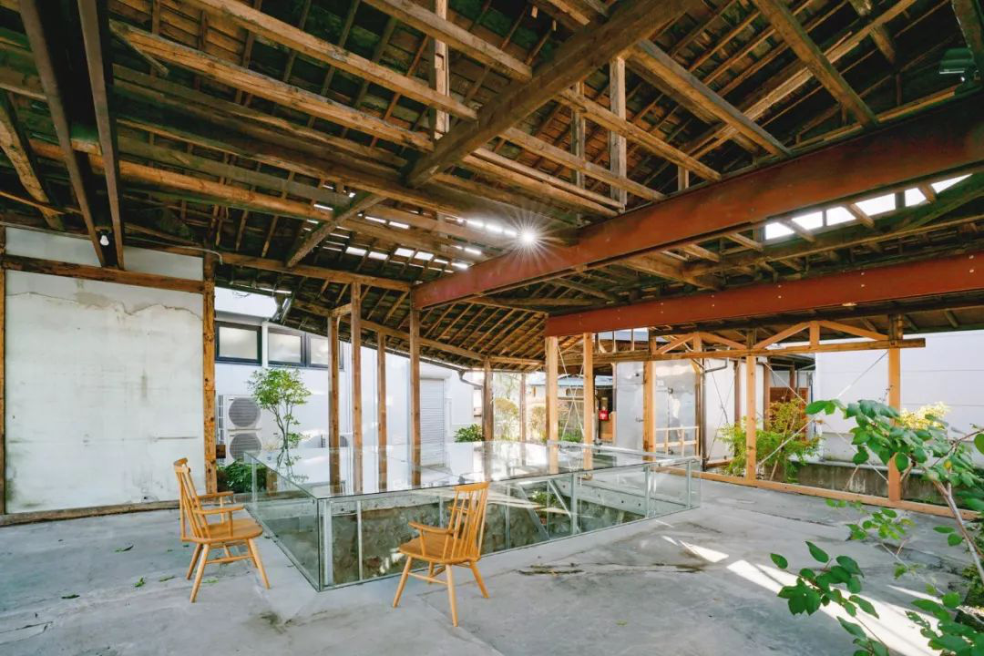 Cặp vợ chồng quyết định cải tạo biệt thự cổ rộng 550m2 thay bằng nhà kính gần gũi với thiên nhiên - Ảnh 12. Cặp vợ chồng quyết định cải tạo biệt thự cổ rộng 550m2 thay bằng nhà kính gần gũi với thiên nhiên - Ảnh 12.