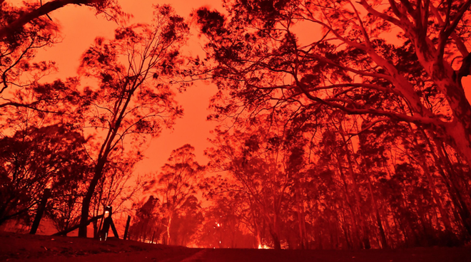 Thương quá tự nhiên ơi: Hình ảnh xót xa cho thấy đại thảm họa cháy rừng tại Úc đang khiến các loài vật bị giày vò kinh khủng đến mức nào - Ảnh 22.