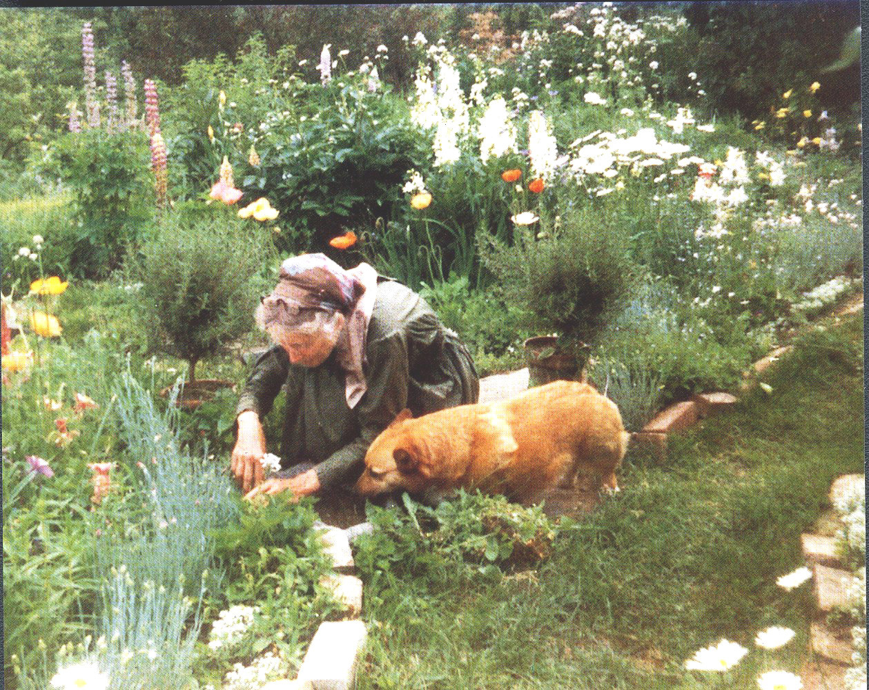 Cuộc sống an yên của cụ bà 92 tuổi bên khu vườn tự tay trồng hoa, rau quả ở vùng thôn quê - Ảnh 14.