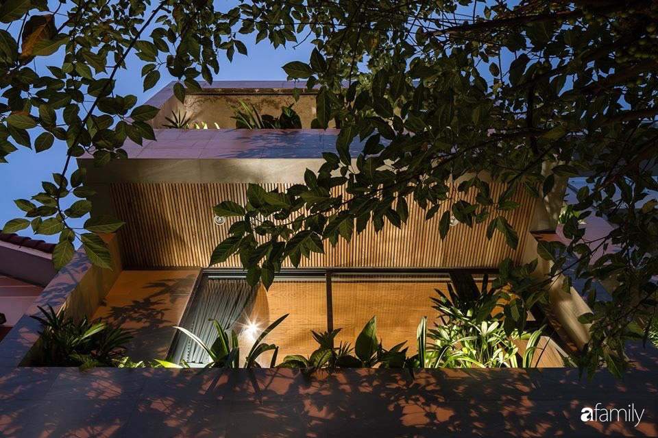 Ngôi nhà phố đẹp tinh tế với bản hòa tấu giữa vật liệu gỗ và ánh sáng ở Quy Nhơn dành cho gia đình 4 người - Ảnh 2.