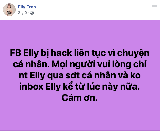 Elly Trần lại gặp rắc rối vì hacker sau khi tung video khóc lóc và ẩn ý chuyện chồng ngoại tình - Ảnh 2.