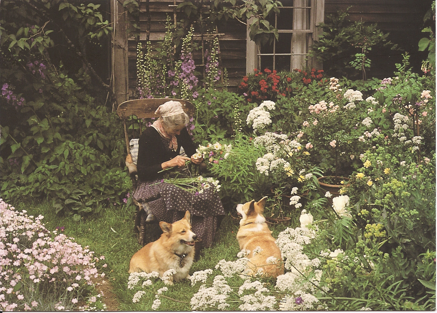 Cuộc sống an yên của cụ bà 92 tuổi bên khu vườn tự tay trồng hoa, rau quả ở vùng thôn quê - Ảnh 6.