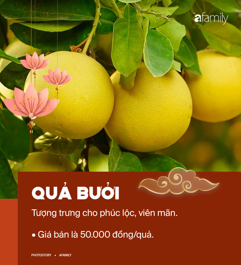 Để mâm ngũ quả vừa hợp phong thủy vừa thêm ý nghĩa trong dịp Tết thì đây là những loại quả mà bạn nên chọn - Ảnh 5.