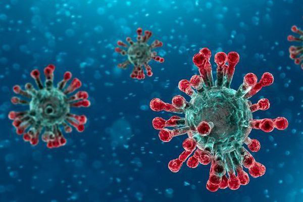 Coronavirus: Nhật Bản cô lập thành công chủng virus corona mới, sẵn sàng công cuộc sản xuất thuốc và vắc-xin mới ứng phó - Ảnh 1.