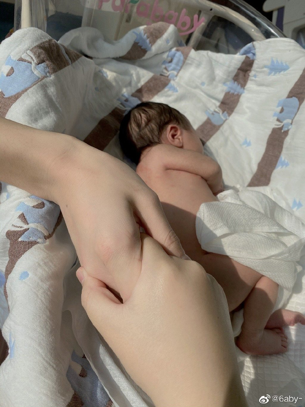 Chuyện tình cổ tích của cặp "đũa lệch": Chàng vỗ béo nàng đến 100kg vì sợ mất, bảo vệ đối phương trước mọi chỉ trích làm màu từ dư luận - Ảnh 8.