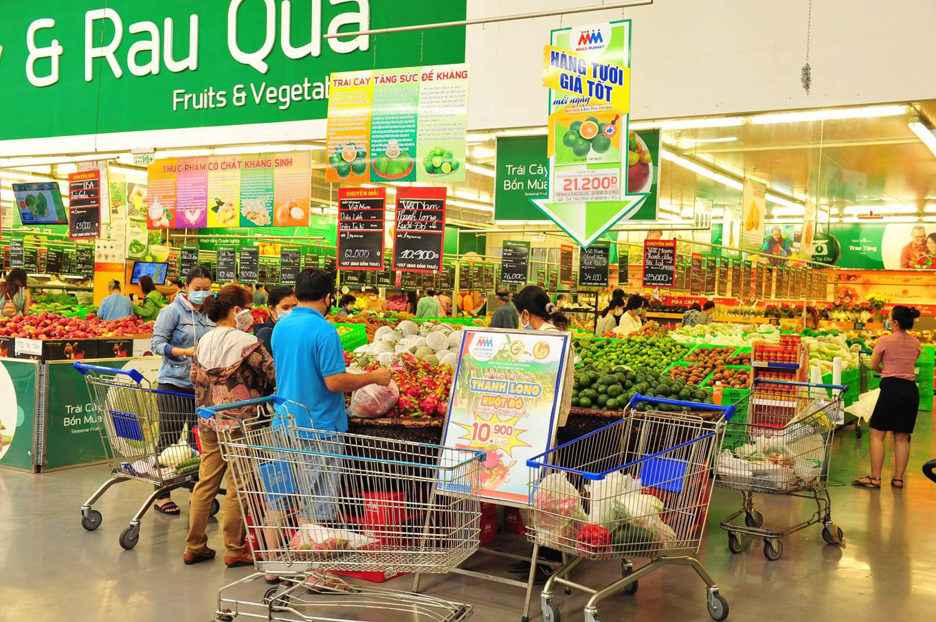 MM hỗ trợ nông dân tiêu thụ thanh long ruột đỏ và dưa hấu - Ảnh 1. MM hỗ trợ nông dân tiêu thụ thanh long ruột đỏ và dưa hấu - Ảnh 1.