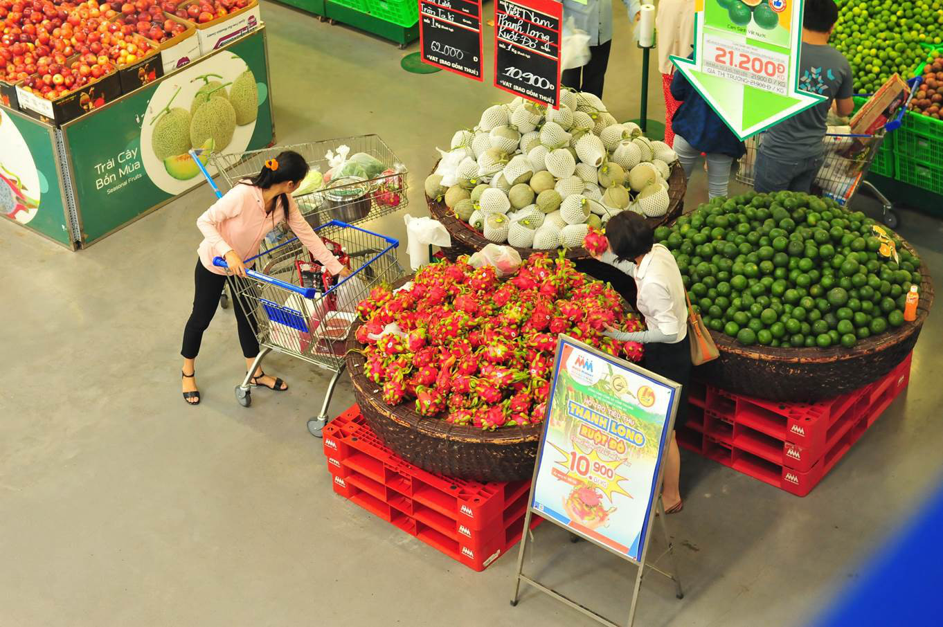 MM hỗ trợ nông dân tiêu thụ thanh long ruột đỏ và dưa hấu - Ảnh 2. MM hỗ trợ nông dân tiêu thụ thanh long ruột đỏ và dưa hấu - Ảnh 2.