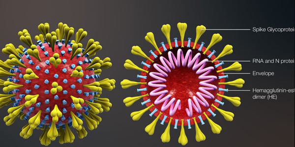 Những cách đơn giản giúp người lớn tuổi tăng sức đề kháng trước virus Corona - Ảnh 1.