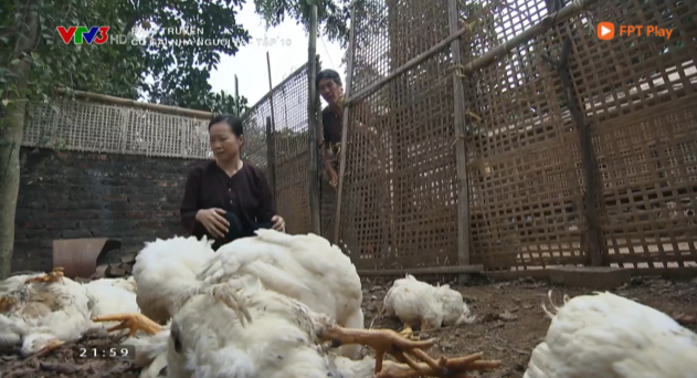 &quot;Cô gái nhà người ta&quot;: Khoa định bỏ đi nhưng vẫn không yên với ông Tài, đến bố cũng gặp tai nạn - Ảnh 1.