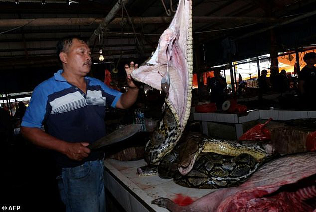Động vật hoang dã vẫn được bày bán công khai tại chợ, thậm chí người dân Indonesia còn hồn nhiên thưởng thức cà ri làm từ dơi nguyên con - Ảnh 2.