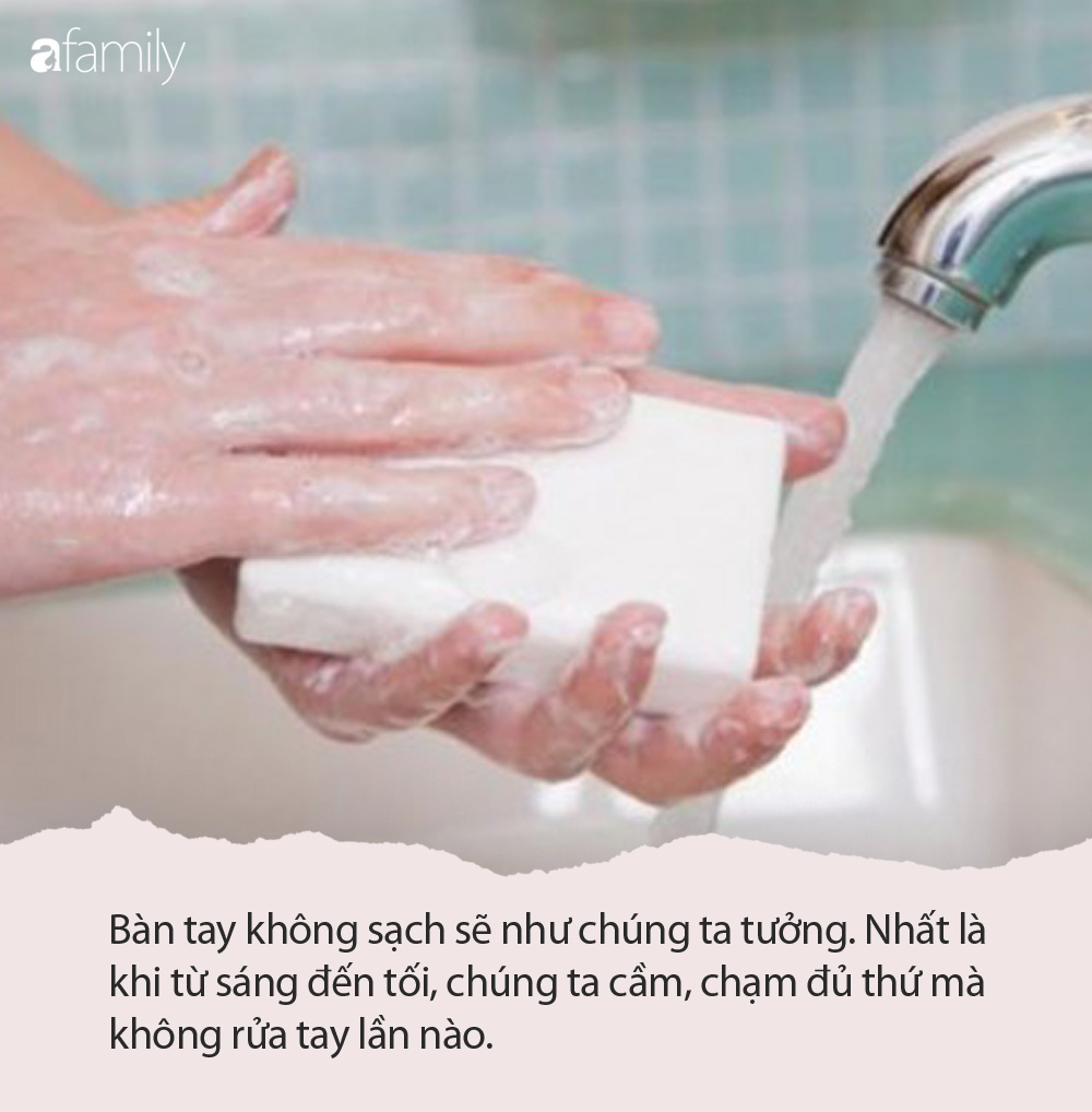 Từ 5 lát bánh mì trong thí nghiệm của nhà hành vi học, bố mẹ cần dạy con những điều sau về việc giữ vệ sinh trong mùa dịch - Ảnh 6.