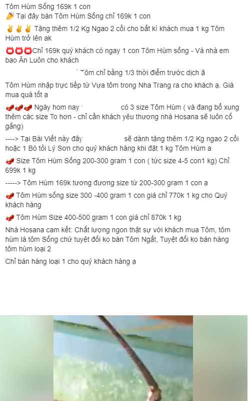 Hà Nội: Tôm hùm đồng giá 169.000 đồng/con, người tiêu dùng đặt mua ồ ạt - Ảnh 2.