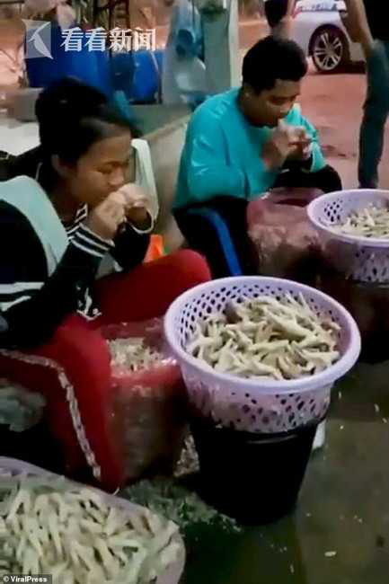 Dùng răng rút xương chân gà sống, bà chủ Thái Lan hài lòng với tình hình kinh doanh: gần 500kg chân gà đã được bán ra toàn Châu Á - Ảnh 2.