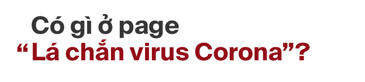 Trang Lá chắn virus Corona: Thông tin chuẩn xác, kiến thức hữu ích để ta tự bảo vệ mình lẫn người thân giữa mùa dịch - Ảnh 2.