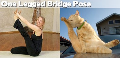 Thực hành yoga cùng động vật sẽ giúp bạn tạo sự kết nối với thiên nhiên và đồng thời cải thiện sức khỏe tinh thần của mình. Hãy xem ảnh về yoga động vật để cùng trải nghiệm những khoảnh khắc tuyệt vời này.